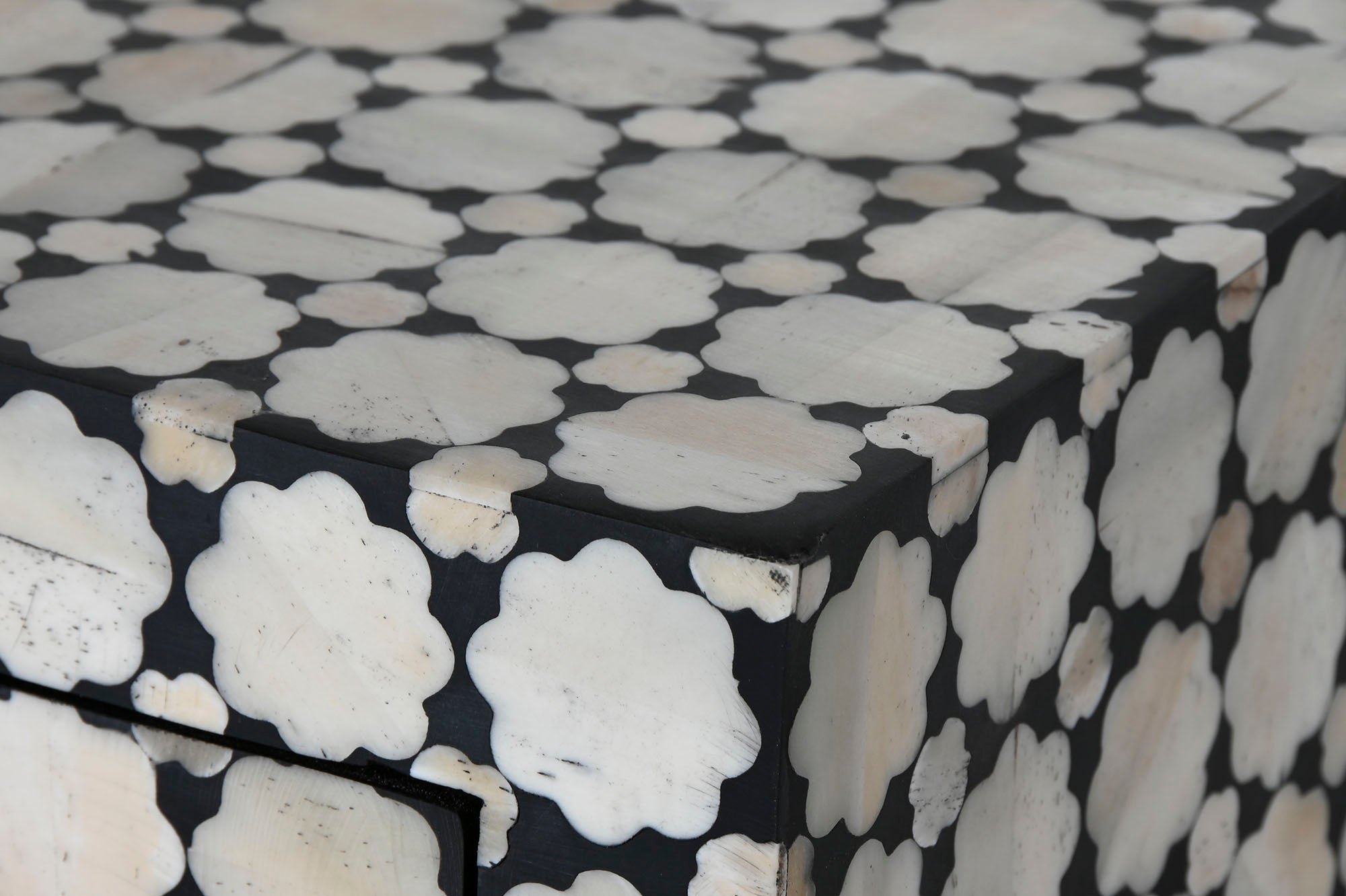 Cabinet Mango Wood and Bone Bicolor