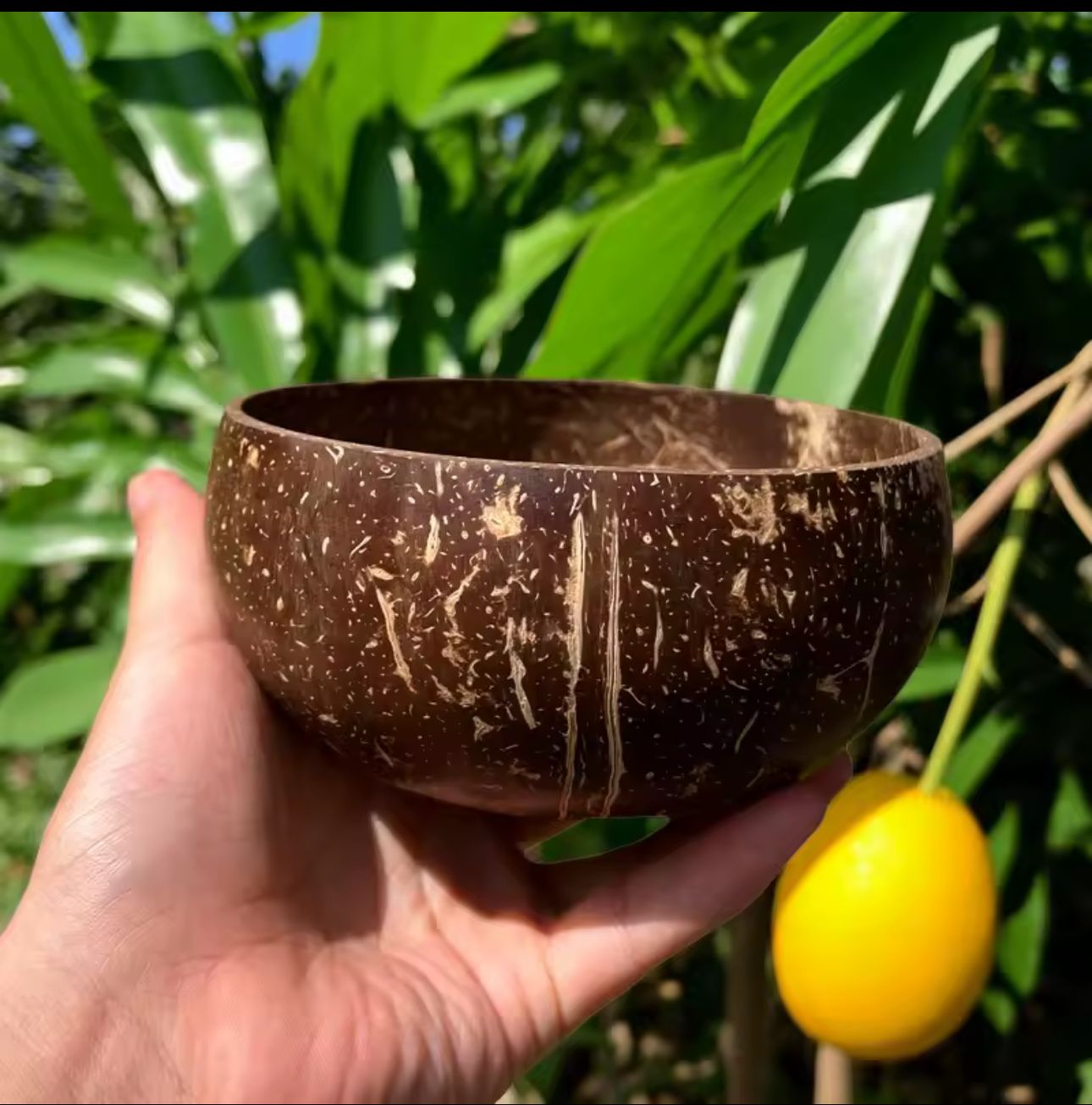 Coconut bowl